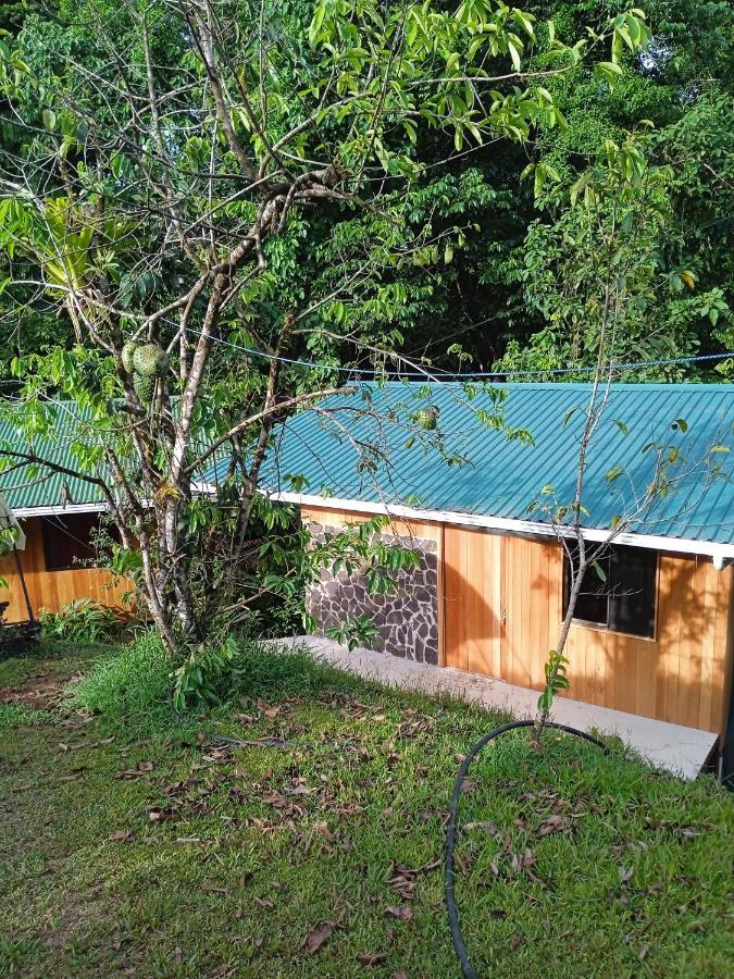 Cabanas Bajo Bosque Drake Drakes Bay Екстериор снимка