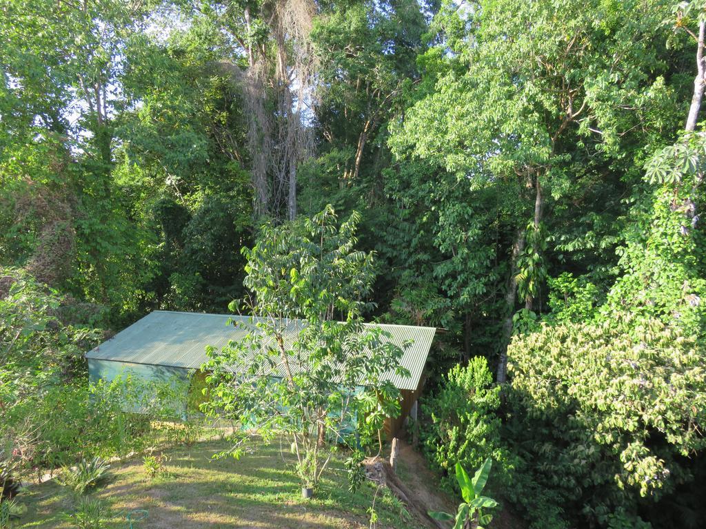 Cabanas Bajo Bosque Drake Drakes Bay Екстериор снимка